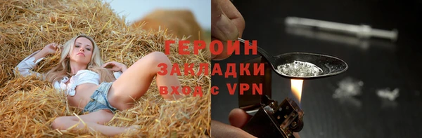 шишки Новодвинск