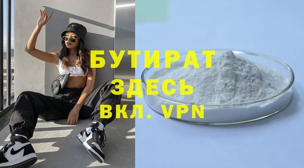 шишки Новодвинск