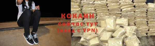 шишки Новодвинск