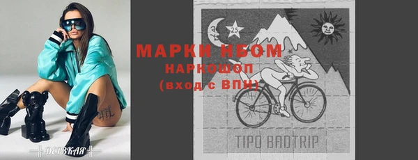 шишки Новодвинск