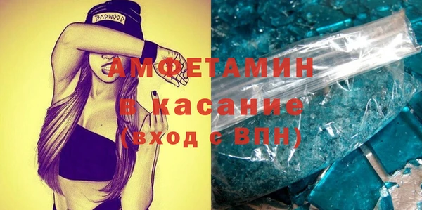 шишки Новодвинск