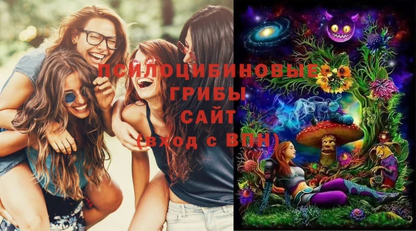 шишки Новодвинск