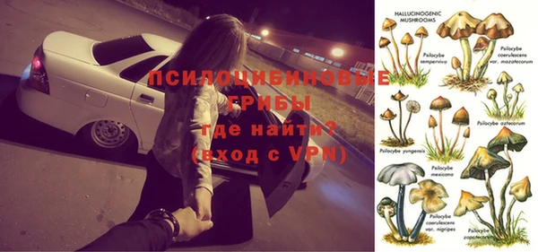 гашиш Няндома