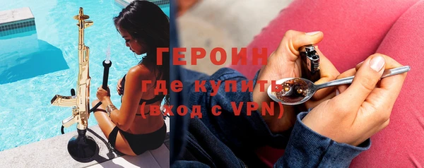 шишки Новодвинск
