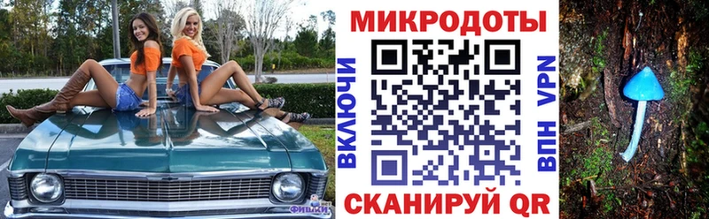 закладки  Пыталово  Псилоцибиновые грибы Psilocybe 